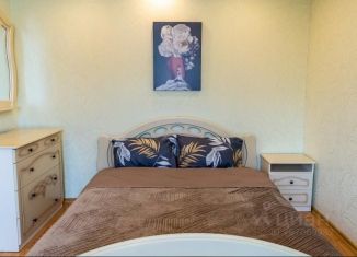 Сдается в аренду однокомнатная квартира, 64 м2, Мурманск, улица Шмидта, 1к1