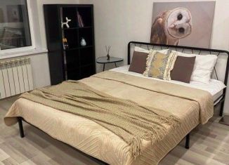 Сдается 1-ком. квартира, 41 м2, Омская область, проспект Комарова, 17к3