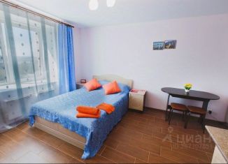 Сдаю в аренду 1-ком. квартиру, 25 м2, Томск, улица Савиных, 4А, Кировский район