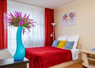 Сдаю в аренду 1-ком. квартиру, 43 м2, Пермь, улица Писарева, 25Б, Орджоникидзевский район