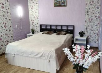 Сдается однокомнатная квартира, 31 м2, Мурманская область, улица Борисова, 4
