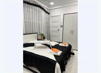 Сдача в аренду 1-комнатной квартиры, 40 м2, Кисловодск, улица Тельмана, 45