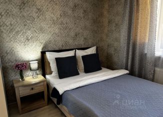 Сдается в аренду 1-ком. квартира, 38 м2, Удмуртия, Совхозная улица, 9