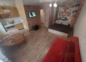 Сдается квартира студия, 36 м2, Пермь, улица Ленина, 84, Дзержинский район
