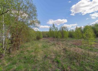 Продам участок, 22.19 сот., село Чамерево