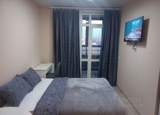 1-ком. квартира в аренду, 25 м2, Пермь, улица Елькина, 14, Свердловский район