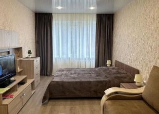 Сдается 1-ком. квартира, 30 м2, Мурманск, улица Челюскинцев, 21А