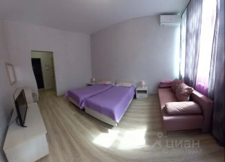 Сдам в аренду 1-ком. квартиру, 45 м2, Ессентуки, улица Пушкина, 12