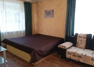 Сдам в аренду однокомнатную квартиру, 30 м2, Ярославль, улица Павлова, 33