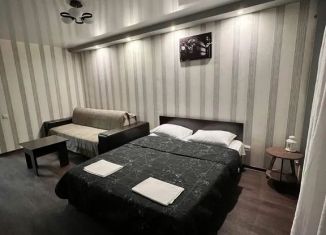 Сдача в аренду однокомнатной квартиры, 52 м2, Волгоград, улица Маршала Ерёменко, 42, Краснооктябрьский район
