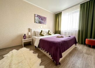Сдаю 1-ком. квартиру, 36 м2, Ставрополь, улица Рогожникова, 9