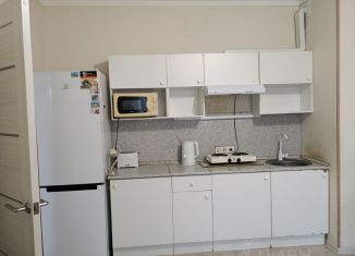 2-комнатная квартира на продажу, 45 м2, Ростов-на-Дону, улица Ткачёва, 15, ЖК Левенцовка Парк