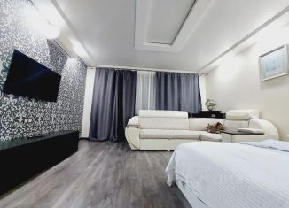 Сдам в аренду 1-ком. квартиру, 39 м2, Омск, улица Конева, 14к2, Кировский округ