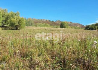 Земельный участок на продажу, 1140 сот., Алтайский край