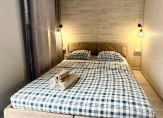 Сдается 1-комнатная квартира, 40 м2, Уфа, Верхнеторговая площадь, 4