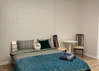 Сдача в аренду 1-ком. квартиры, 35 м2, Пермь, Пермская улица, 2, Ленинский район