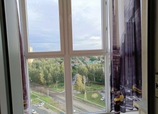 Сдается 1-ком. квартира, 41 м2, Омск, бульвар Архитекторов, 25, ЖК Берёзовая роща