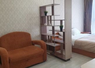 Сдача в аренду квартиры студии, 25 м2, Иркутск, улица Лызина, 9, ЖК Стрижи Сити