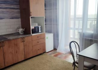 Сдаю в аренду 1-ком. квартиру, 42 м2, Омск, проспект Комарова, 11/4