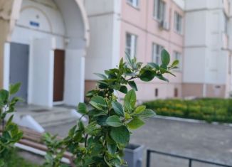 Продается 2-ком. квартира, 54 м2, Воронеж, Коминтерновский район, улица Екатерины Зеленко, 22А