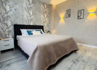 Сдаю в аренду 1-комнатную квартиру, 40 м2, Волгоград, улица Пархоменко, 8А, Центральный район