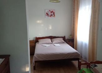 Сдается в аренду дом, 40 м2, село Береговое, улица Комарова, 4