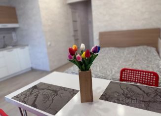 Сдаю квартиру студию, 24 м2, Челябинская область, улица Романенко, 4