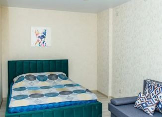 Сдается в аренду 1-ком. квартира, 40 м2, Белгород, улица Попова, 35А