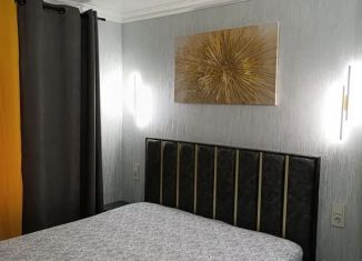 Сдается в аренду однокомнатная квартира, 30 м2, Орск, проспект Ленина, 19А