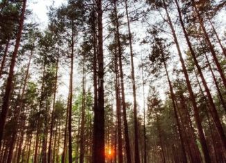 Участок на продажу, 12.5 сот., Алтайский край, Байкальская улица