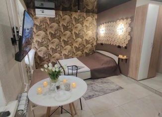 Сдам 1-ком. квартиру, 21 м2, Омск, улица Андрианова, 20, Советский округ