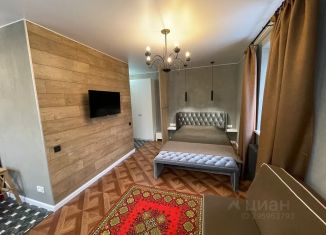 Сдаю в аренду квартиру студию, 26 м2, Новгородская область, Предтеченская улица, 11