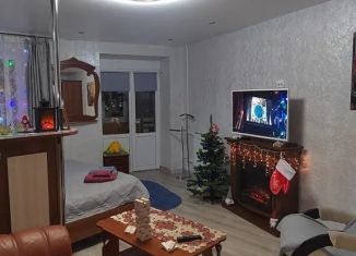 Сдача в аренду 1-комнатной квартиры, 41 м2, Мурманск, улица Аскольдовцев, 26к2, Ленинский округ