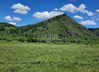 Продам земельный участок, 480 сот., Алтайский край