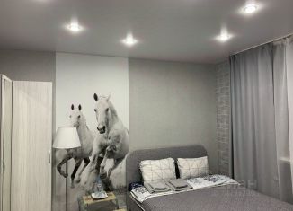 Сдается однокомнатная квартира, 20 м2, Мурманск, переулок Русанова, 5