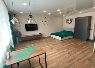 Сдача в аренду квартиры студии, 45 м2, Карелия, улица Рудакова, 8