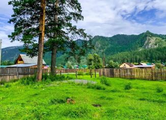 Продажа участка, 16 сот., Республика Алтай