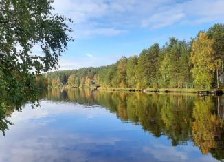 Сдам дом, 64 м2, посёлок Сяпся, Речная улица, 14