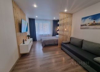 Сдаю в аренду однокомнатную квартиру, 31 м2, Сортавала, улица Победы, 1