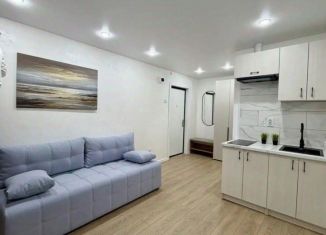 Продажа квартиры студии, 26 м2, Чебоксары, улица Тимофея Кривова, 17, Московский район