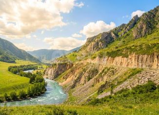 Продажа земельного участка, 225 сот., Республика Алтай
