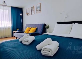 Аренда квартиры студии, 33 м2, Карелия, улица Дружбы Народов, 5
