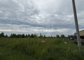 Продаю участок, 11 сот., деревня Шоя-Кузнецово