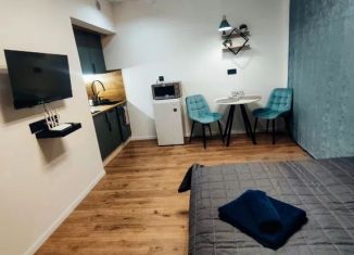 Сдается в аренду квартира студия, 20 м2, Ленинградская область, улица Водной Заставы, 6