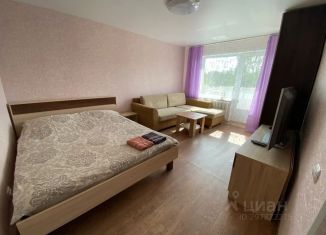 Сдается однокомнатная квартира, 30 м2, Ухта, проезд Дружбы, 8
