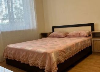 Сдаю 1-комнатную квартиру, 38 м2, Дербент, Фабричная улица, 25А