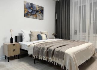 Сдам в аренду квартиру студию, 30 м2, Архангельская область, улица Карла Маркса, 66