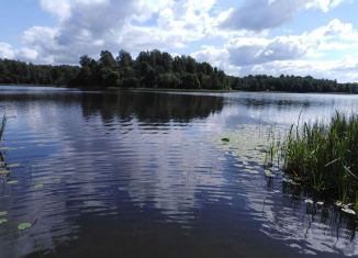 Продается участок, 900 сот., Псковская область, площадь Ленина