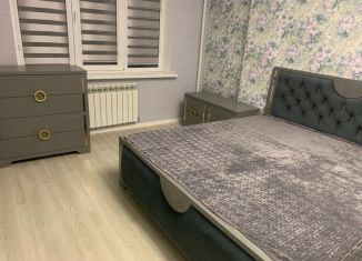 Сдача в аренду двухкомнатной квартиры, 60 м2, Дагестан, улица Г. Гамидова, 69А