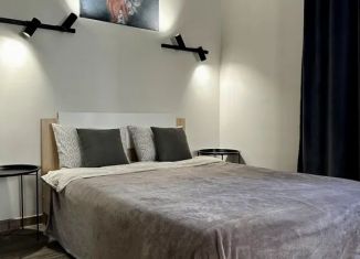 Сдам в аренду 1-ком. квартиру, 35 м2, Псковская область, улица Гоголя, 5
